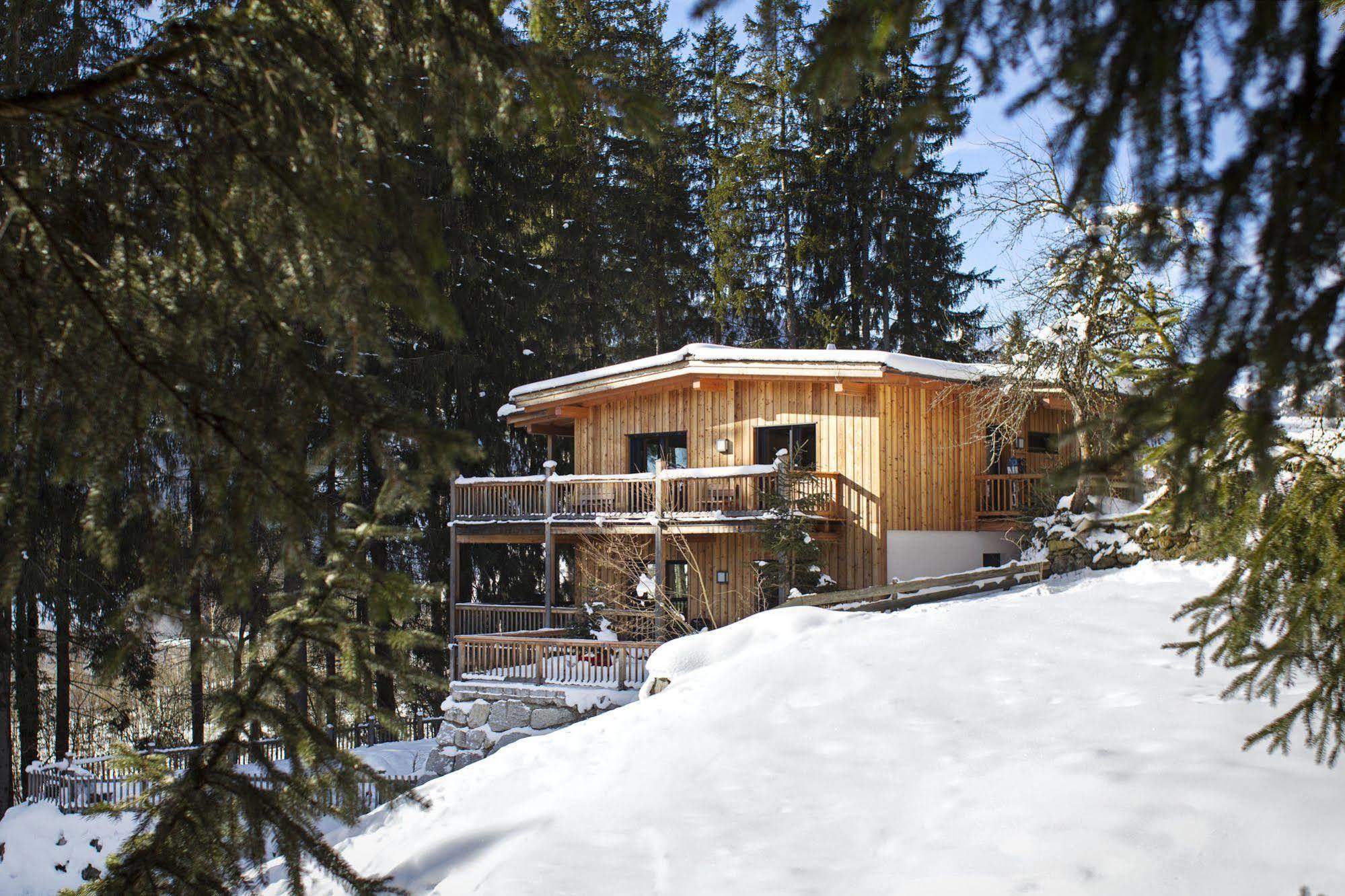 Appartement Waldhaeusl Neukirchen am Großvenediger Dış mekan fotoğraf
