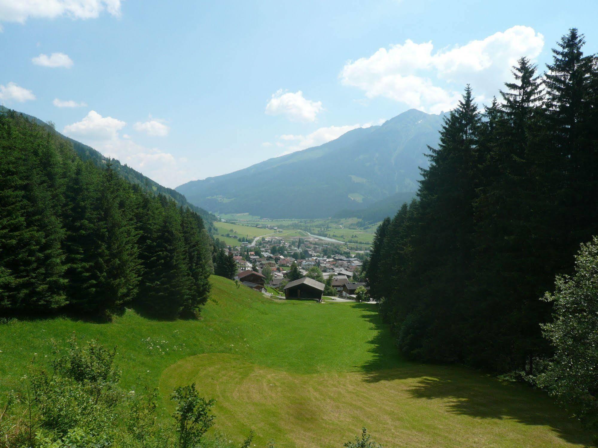 Appartement Waldhaeusl Neukirchen am Großvenediger Dış mekan fotoğraf